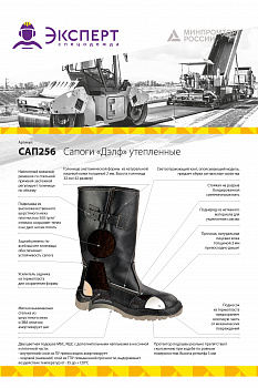 Сапоги "Дэлф" шерст.мех