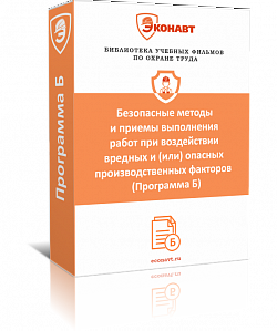 Безопасные методы и приемы выполнения работ при воздействии вредных и (или) опасных производственных факторов (Программа Б) (фильм/курс)